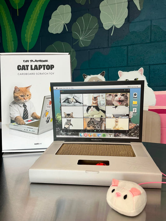 Cat Scratch Laptop - Cardboard Toy For Geeky Cats