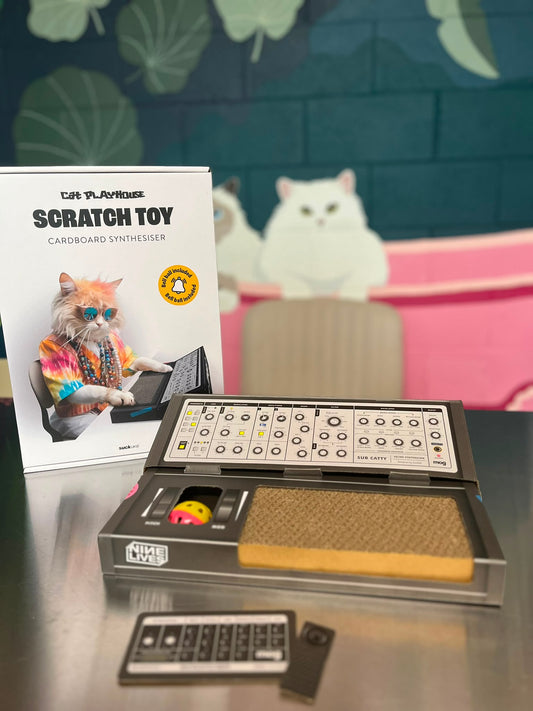 Cat Scratch Synth - Cardboard Toy For Musical Cats