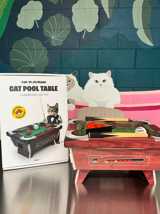 Pool Table Cat Toy - Box & Balls Game For Your Cat