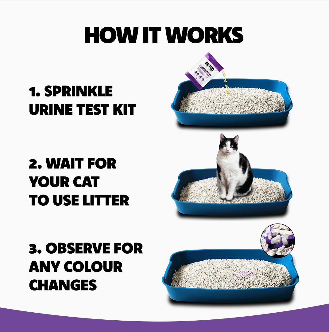 Dr Ted Cat Urine Test Kit Glucose Detector