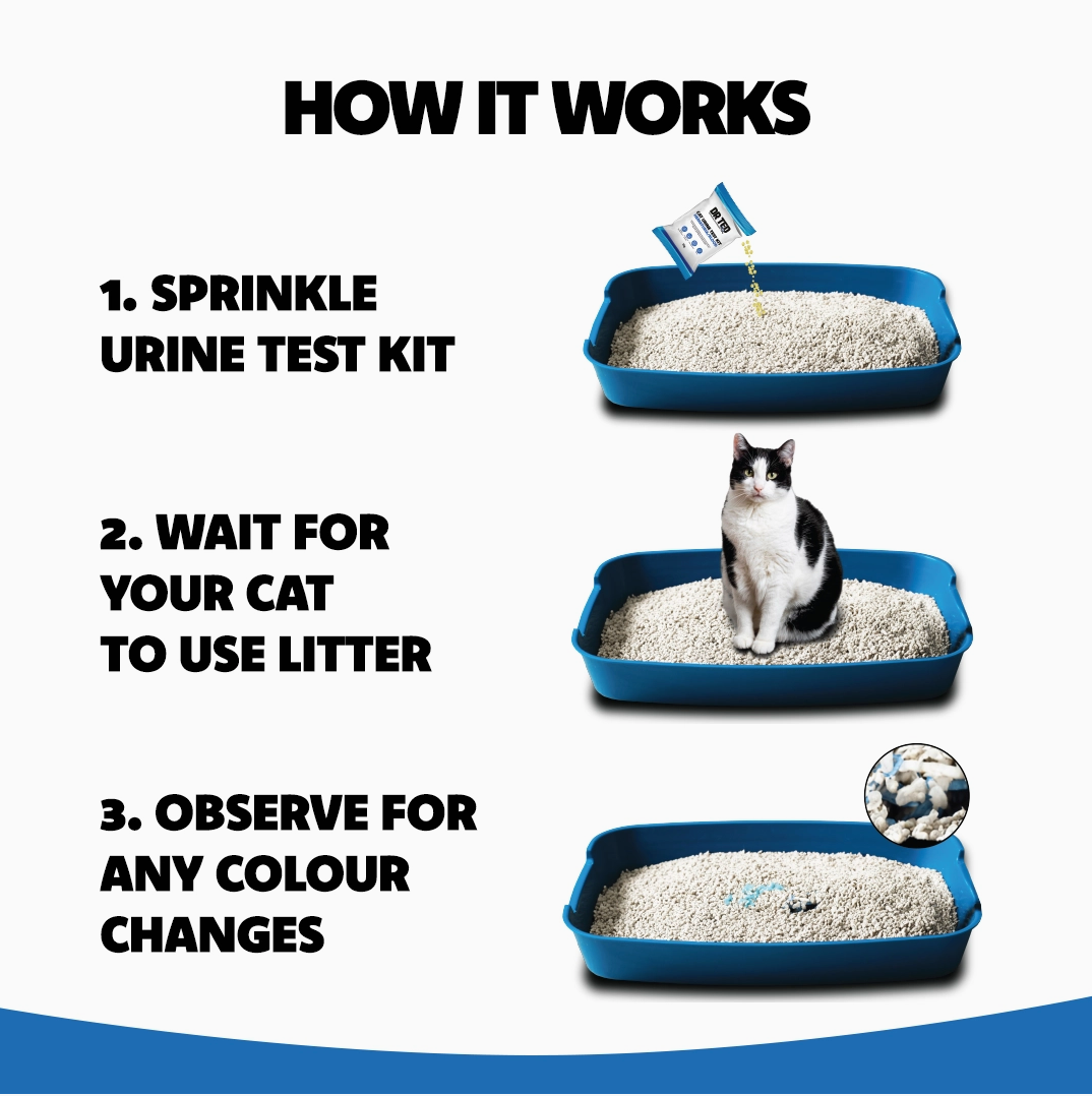 Dr Ted Cat Urine Test Kit Hematuria / Blood Detector